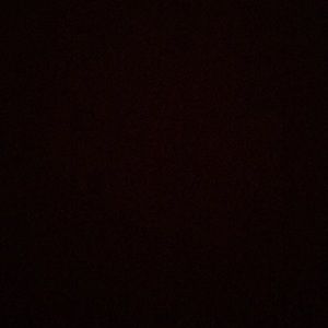 Meet your Posher, Jamarious